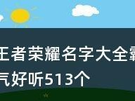 王者荣耀黑翼出装攻略（王者荣耀黑翼出装攻略，助你成为战场霸主！）