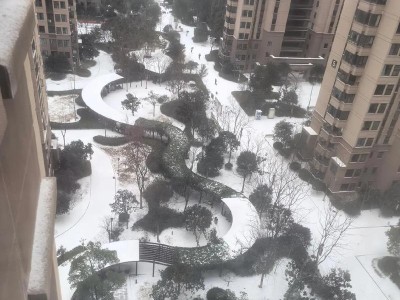 暖雪雷火元素流玩法详解（探索元素的多样性，释放全新战斗力）