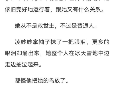 黑莲花手游攻略（全面解析游戏技巧、副本攻略和装备选择，让你稳步提升实力！）