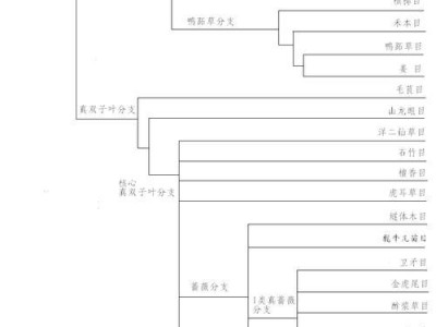 星耀少女阿尔珂图鉴及观测公式介绍（从图鉴到实战，全面解析阿尔珂）